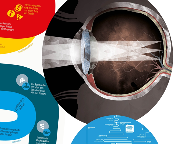 SZ-Veranstaltung: Einblicke in die Infografik mit Daniela Miedaner 